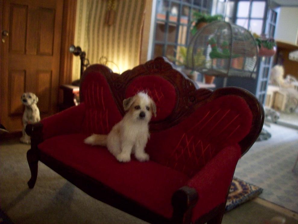 on couch